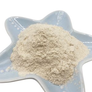 85% Biopolymer Agricultural Chitosan Powder For Plants