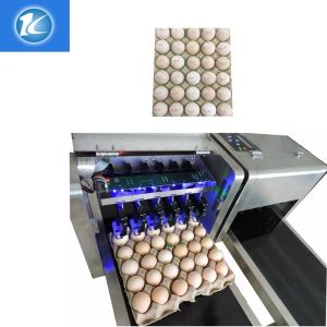 Quick Dry Cartridge Expiry Date Egg Marking Equipment / Egg Stamping Machine