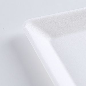 Compostable disposable bagasse food container biodegradable sugarcane tableware