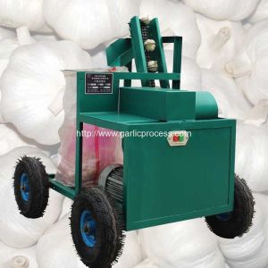Automatic Discharging Fresh Garlic Root and Leaf Cutting Machine