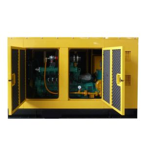Quality 10kw-500kw Soundproof Natural Gas Generator LPG Generator for sale