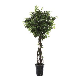 Quality 220cm Height PU Stem Ficus Tree for sale