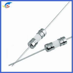 3.6*10 Ceramic T 315mA-10A Subminiature Fuse Fast Acting Quick Blow With Legs