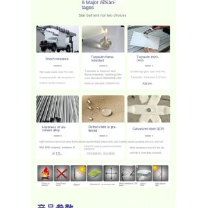 6m Transparent Starlight Camping Tent