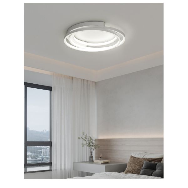 Modern Creative Wrought Iron Ceiling Lights Atmosphere Living Room ring Ceiling Lights(WH-MA-249)