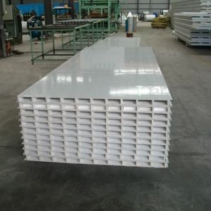 PPGI 50mm Clean Room MgO Sandwich Panel