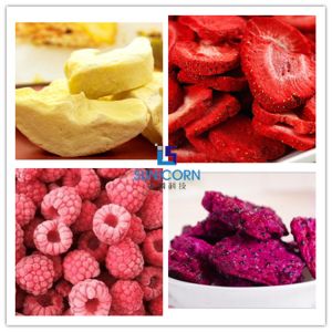 Lyophilization 4KG Input Freeze Drying Equipment SUS304