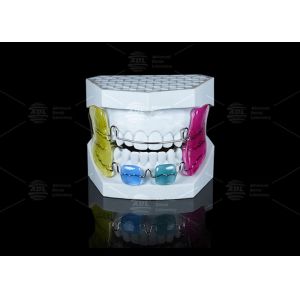 Children And Adults Frankel II Appliance Supporting Occlusion Recovery