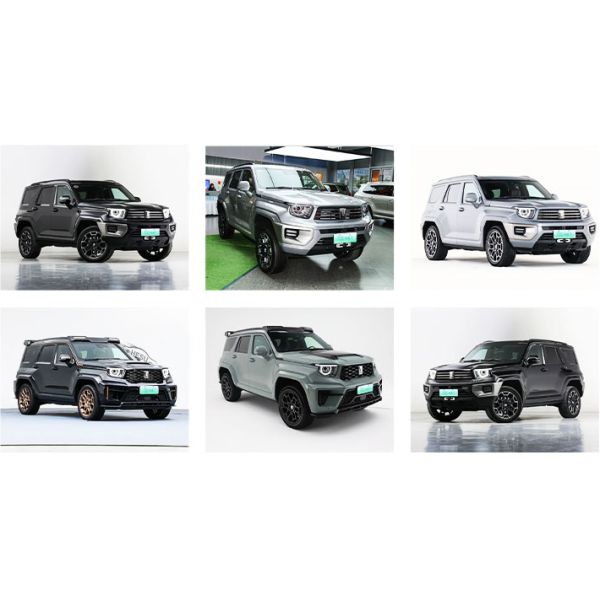 2024 Great Wall Tank 700 TPMS 700 hybrid Hi4-T Off-Road Vehicle 3.0T AWD Electric Car