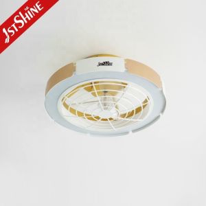 110-240V/50Hz-60Hz Input Voltage Bedroom Indoor Ceiling Fan Light with Remote