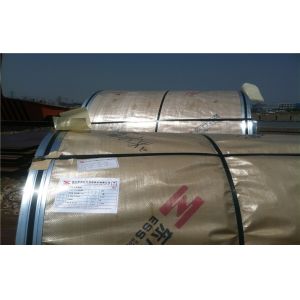 hot rolled 304 / 304L stainless steel coils