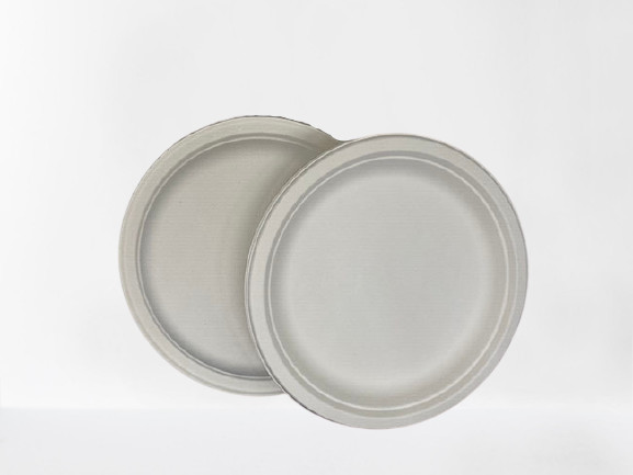 Oilproof Natural White Biodegradable Sugarcane Bagasse Plates 9"