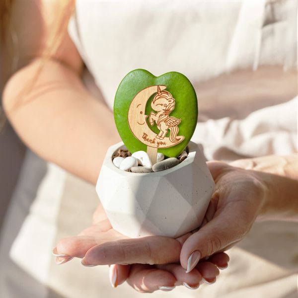 Succulent Tags Watch Me Grow Wooden Plant Label Garden Marker Plant Sign Succulent Labels for Mother's Day Baby Shower