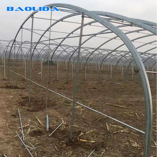 Buy Double Arches Double Film Greenhouse 10m Width Tunnel Plastic Greenhouse at wholesale prices
