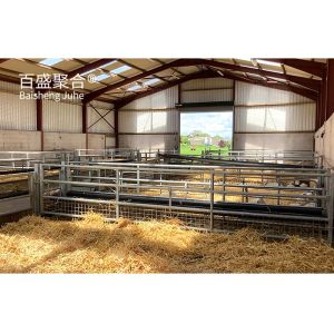 Grade Steel H Beams Used in Prefabricated Cow/Cattle/Sheep/Chicken Farm Building