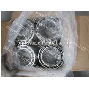 Quality Replacement parts of Komatsu Bearing 06000-06020 for sale