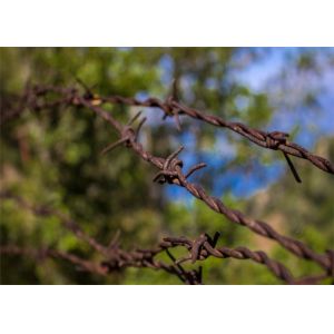 Small Roll Of High Tensile Security Barbed Wire Ribbon Type Wall Spikes On Fence