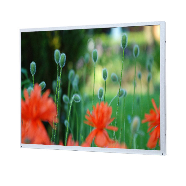 China LQ190E1LW02 LCD Display for Pro-face APL3900- TFM-BLD on sale China LQ190E1LW02 LCD Display for Pro-face APL3900- TFM-BLD on sale
