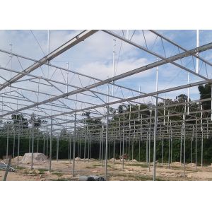 WL108Y Large IGreen Polycarbonate Panels Customized Length for Greenhouse