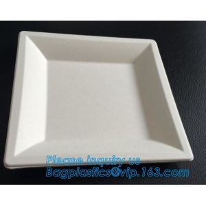 7 inch Pretty Food Grade Eco Biodegradable Tableware Disposable Corn Starch