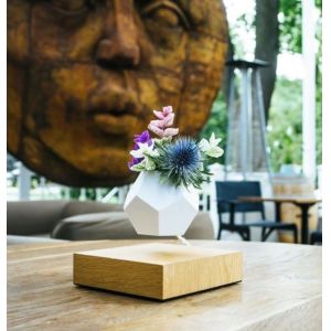 Creative Design Levitation Bonsai ,floating plant pot ,magnetic levitation