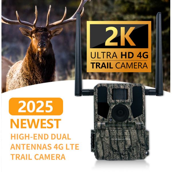 Buy 4G Trail Camera Photo Video 36MP Image Size 1-9 Capture Number 5s-60s Video Length at wholesale prices