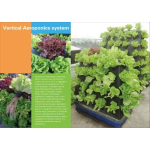 Commercial Aeroponics Hydroponic System For Greenhouse Vegetables Growing