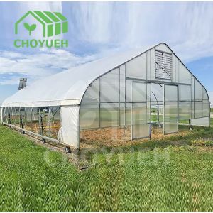 Hot Dip Glavanized Steel Polytunnel Greenhouse 10X30m Single Span