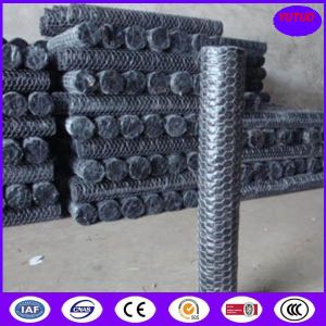 Quality Dingzhou Hexagonal Mesh for sale