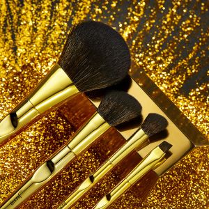 Jessup 10pcs Basic Makeup Brushes Set