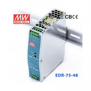Quality MEAN WELL 75W 1.6A 48V Din Rail Power Supply For Ethernet Switch for sale