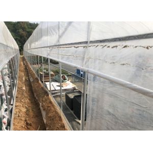 Automatic Manual Ventilation Single Span Tunnel Commercial Agriculture