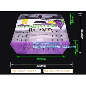 Fruit packaging moistureproof custom slider lock zipper bag, Transparent PVC
