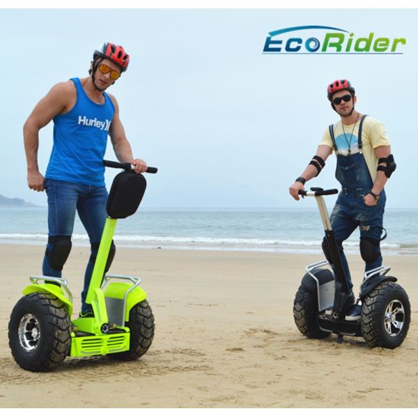 Carbon Foldable Electric Scooter with 350 Watt Brushless Motor , Electric Kick Scooter
