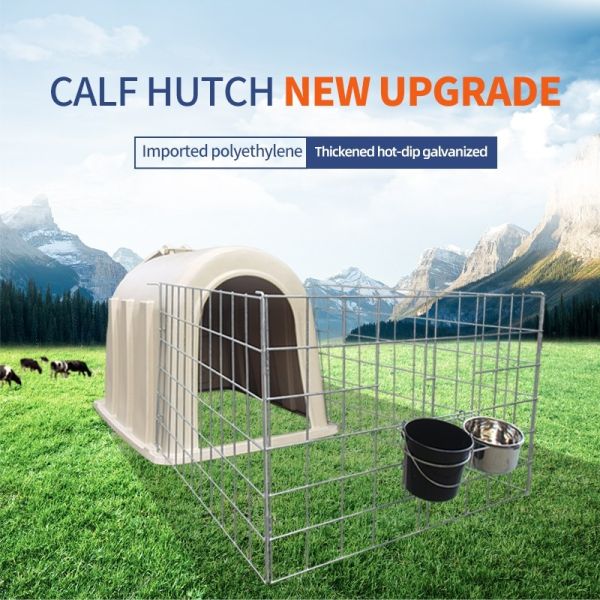 Buy Long Service Life 3-6 monthes Calf Hutches With Hot - Galvanized Steel Pipe Fence at wholesale prices