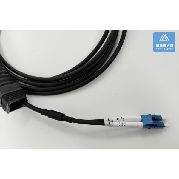 2F Armored Fiber Patch Cable CPRI 5.0mm SM LSZH BBU RRU FTTA Patch Jumper 5M