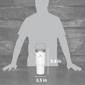 IceFlow Stainless Steel Tumbler with Straw, Vacuum Insulated Water Bottle for