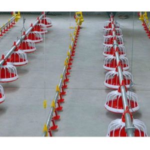 100mm Chicken Nipple Drinker System