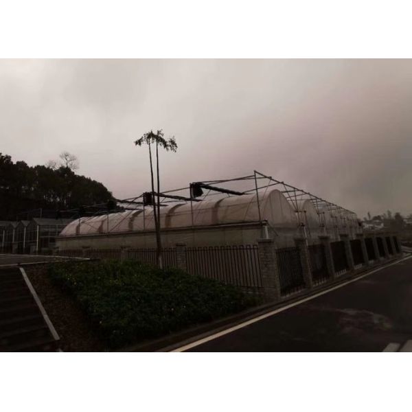 Buy Agriculture Plastic Film Greenhouse With Inside Shading And Insulation at wholesale prices