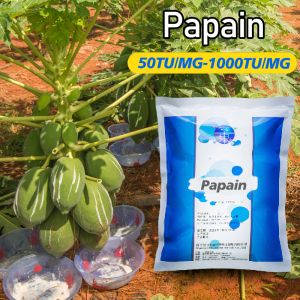 White Original Papaya Enzyme Powder 50TU/MG-1000TU/MG Origin Of Papaya