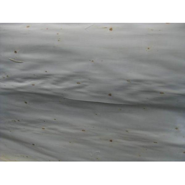 Buy Rotary Cut/Peeled Poplar Wood Veneer Sheet at wholesale prices