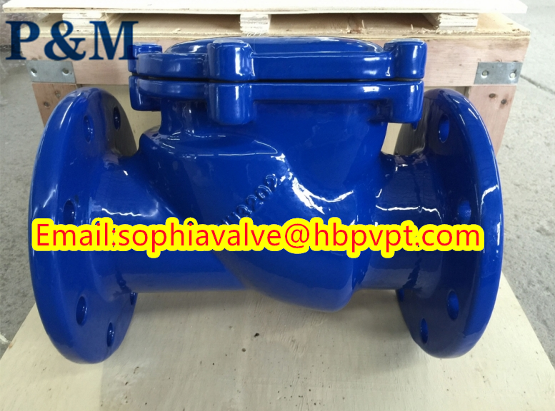 DIN PN10 PN16 Swing check valve