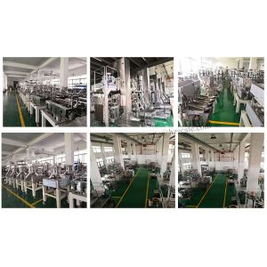 ZH-BL14 Dry Meat Biltong Pet Food Packaging Machine