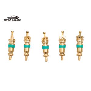 SG-2280 Fuel Injection Service Kit 0-100 PSI Car Diagnostic Tools ISO9001