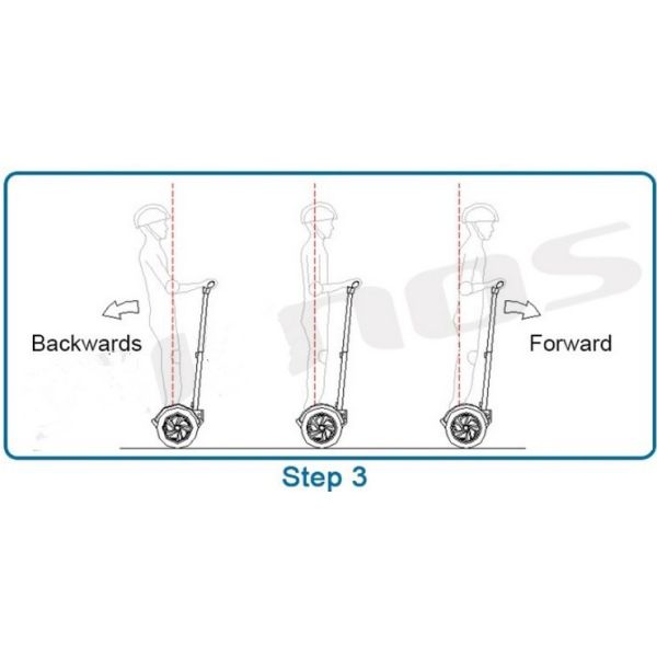 21 inch Kenda tire shock-absorb with strong flange plate big tire electric scooter
