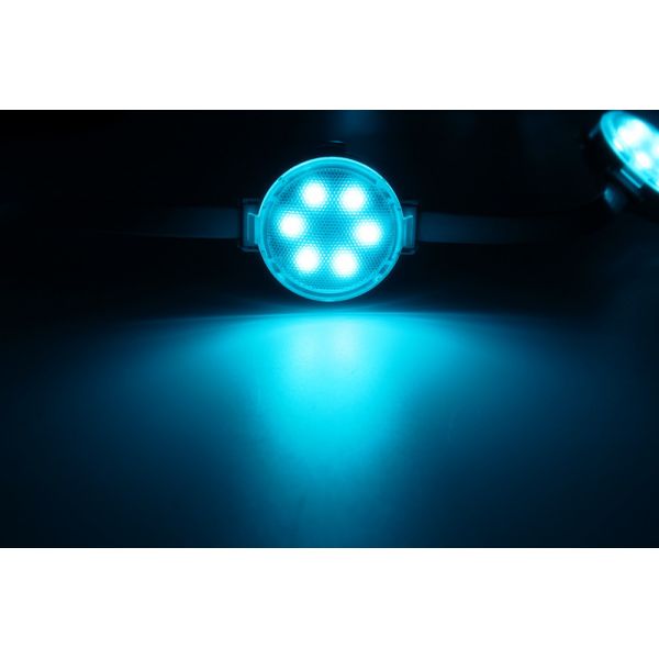 Landscape SMD 3535 IP65 1.5W 24V 40mm Led Pixel Module