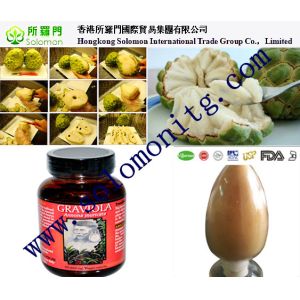 Quality Graviola Fruit Extract, Graviola Fruit Extract Powder 5:1, 10:1, 20:1 for sale