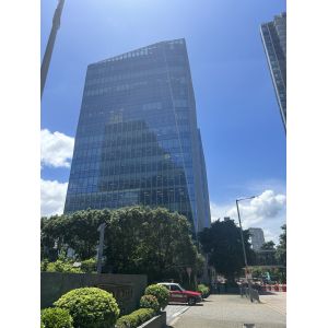 Modern Style Decorative Partition Wall with Customized Design and Aluminum Alloy