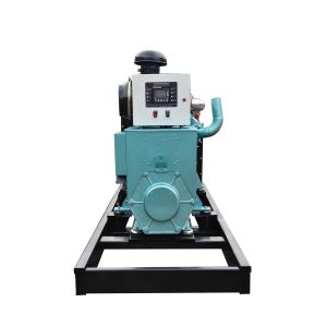 Green power LPG genenerator with ATS