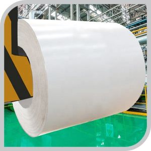Dongmeng RAL9010 Prepainted Galvanized Steel Sheet Coil Z61-Z80 Coating
